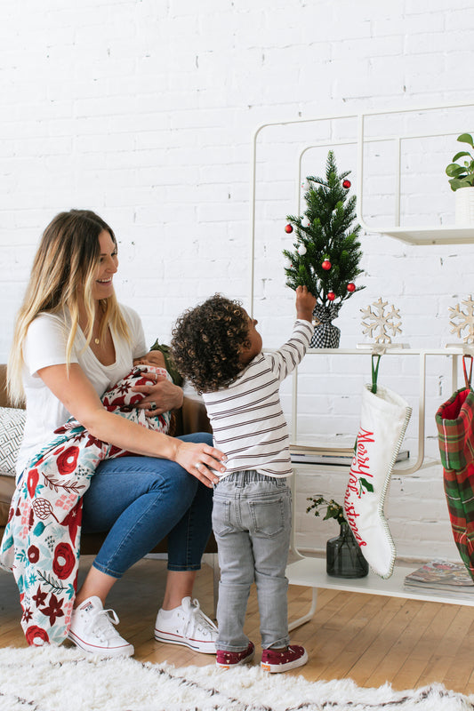 Key Tips for Avoiding Holiday Meltdowns