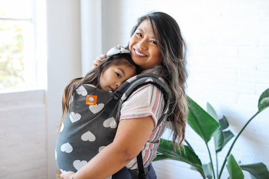 Tula Preschool Carrier: The Journey Continues