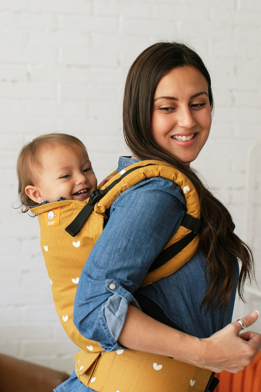 Play - Tula Toddler Carrier